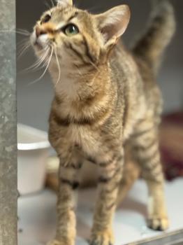 Actana Bild von Actana