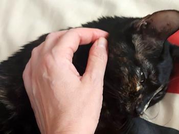 Muriel Bild von Muriel