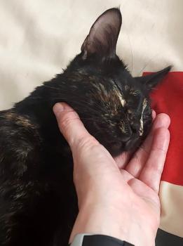 Muriel Bild von Muriel