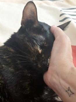 Muriel Bild von Muriel