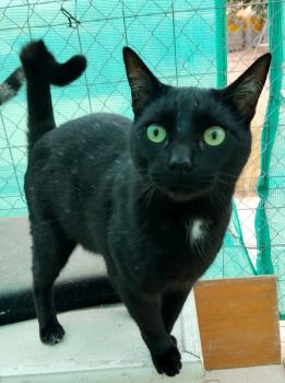 Lindo Bild von Lindo