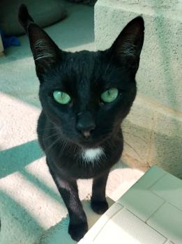 Linda Bild von Linda