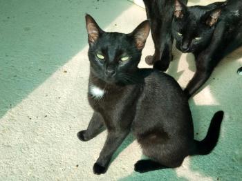 Linda Bild von Linda