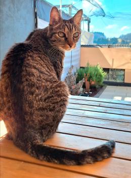 Jorge Bild von Jorge