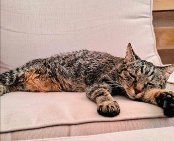 Jorge Bild von Jorge