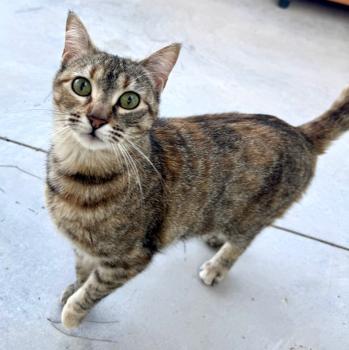 Astrid Bild von Astrid