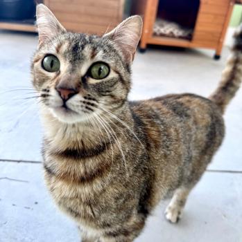 Astrid Bild von Astrid