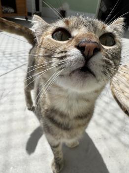 Astrid Bild von Astrid