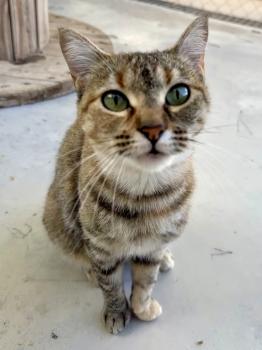 Astrid Bild von Astrid