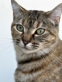 Astrid Bild von Astrid