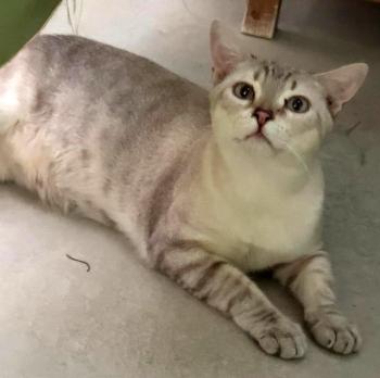 Luffy Bild von Luffy