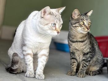 Luffy Bild von Luffy