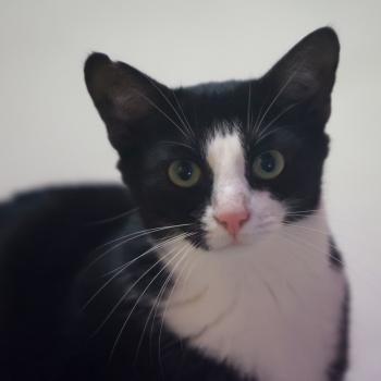 Irina Bild von Irina