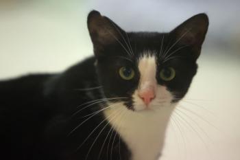 Irina Bild von Irina