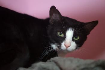 Irina Bild von Irina