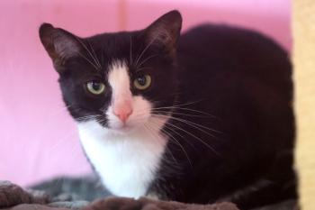 Irina Bild von Irina