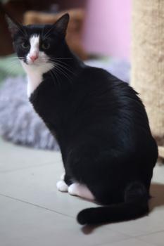 Irina Bild von Irina