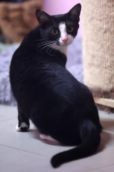 Irina Bild von Irina