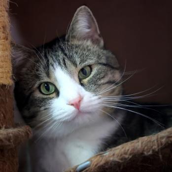 Vitali Bild von Vitali