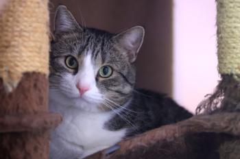 Vitali Bild von Vitali