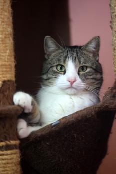 Vitali Bild von Vitali