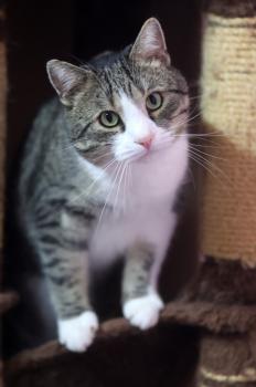 Vitali Bild von Vitali