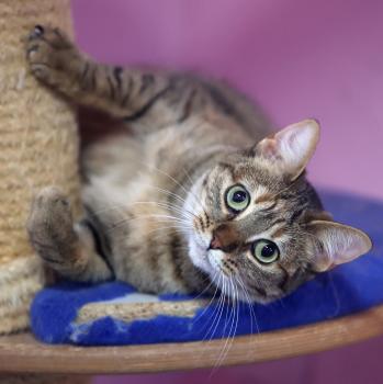 Minnie Bild von Minnie