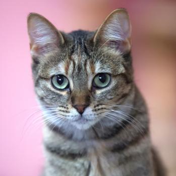 Minnie Bild von Minnie