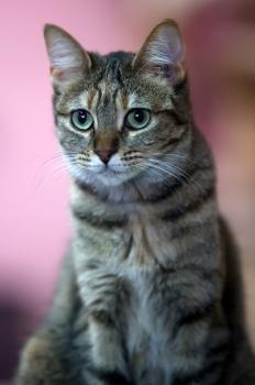 Minnie Bild von Minnie