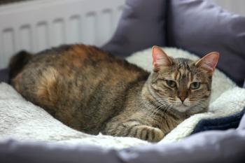 Minnie Bild von Minnie