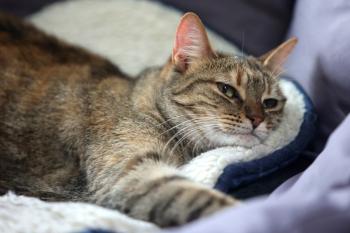 Minnie Bild von Minnie