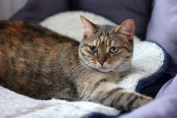 Minnie Bild von Minnie