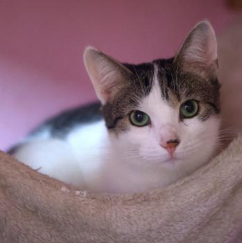 Mascha Bild von Mascha