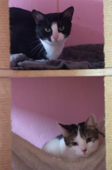 Mascha Bild von Mascha