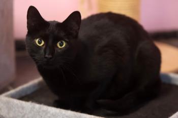 Trinidad Bild von Trinidad