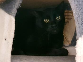 Luigi Bild von Luigi