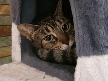 Melusi Bild von Melusi