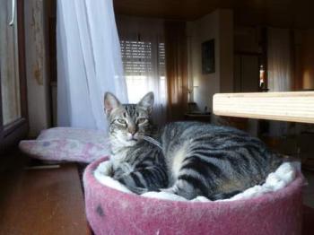 Trass Bild von Trass