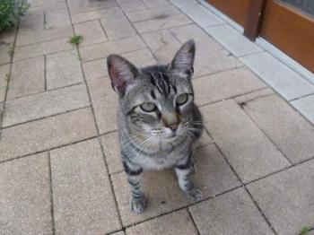 Trass Bild von Trass