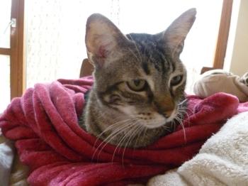 Trass Bild von Trass