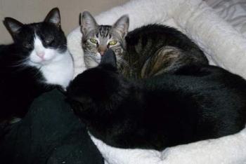 Trass Bild von Trass