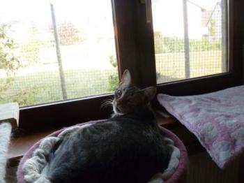 Trass Bild von Trass