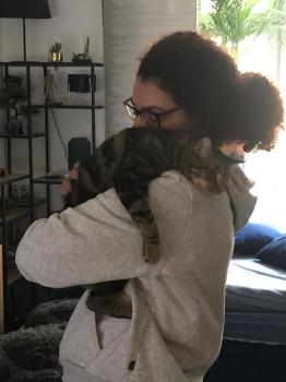 Pompon Bild von Pompon