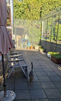 Jorge Bild von Jorge