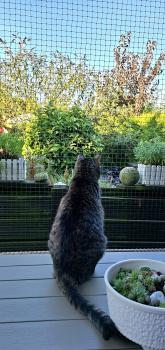 Jorge Bild von Jorge