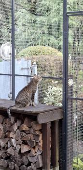 Jorge Bild von Jorge