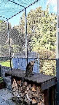 Jorge Bild von Jorge