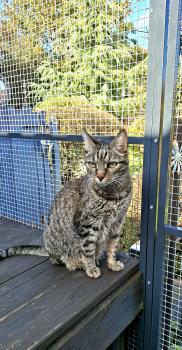 Jorge Bild von Jorge