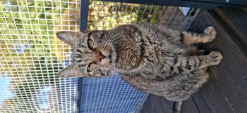 Jorge Bild von Jorge