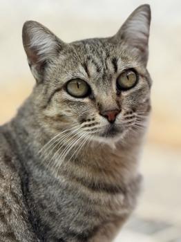 Ivanna Bild von Ivanna